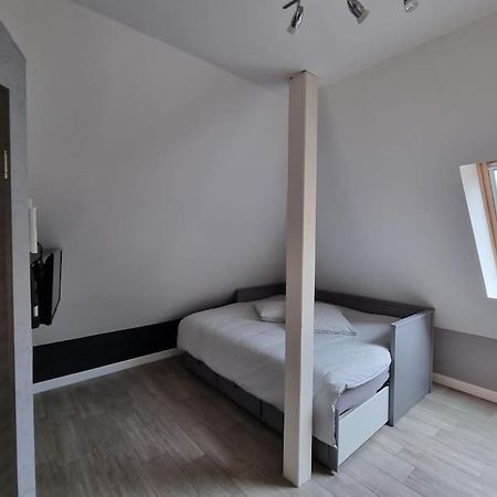 Studio De La Demi Lune Plobsheim Extérieur photo
