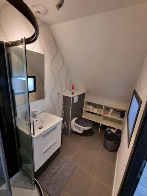 Studio De La Demi Lune Plobsheim Extérieur photo